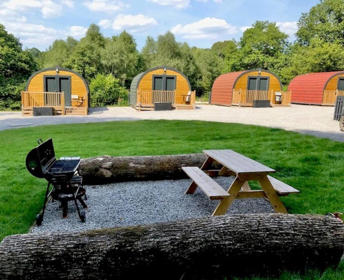 Vila Woodland Pod 10 Pet Friendly Neath Exteriér fotografie